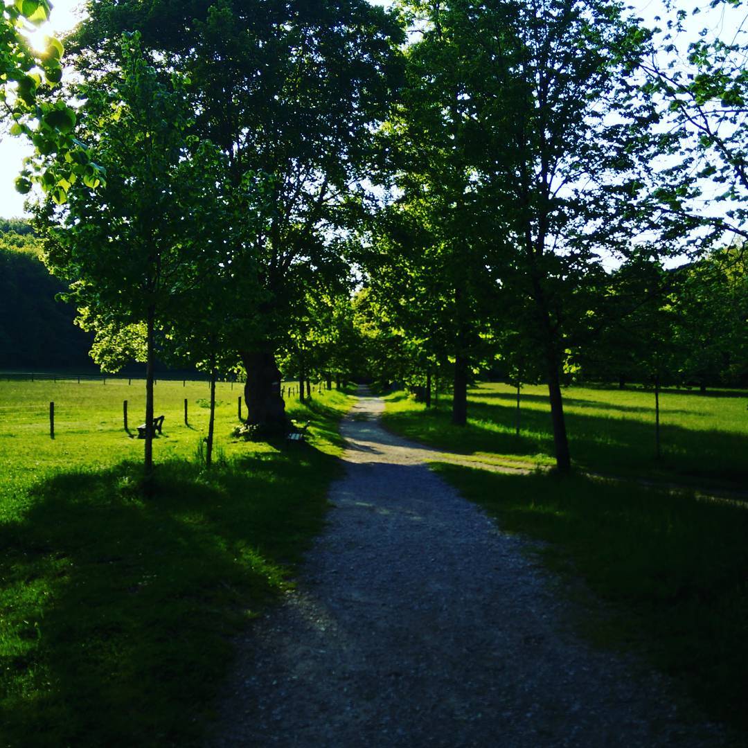 #biketour #austria #niederösterreich #wüste #mannersdorf