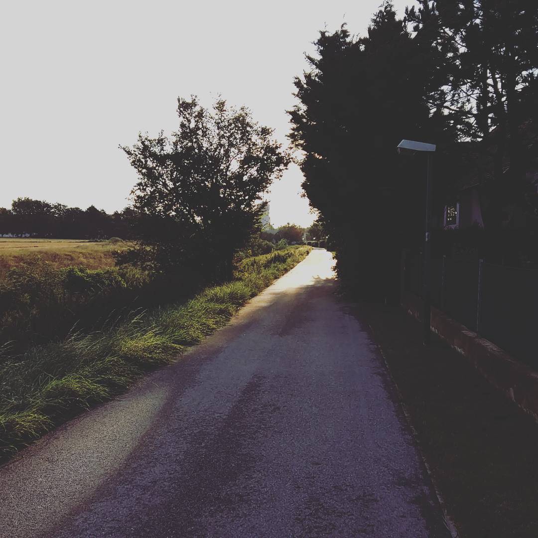 Guten Morgen! #strava #running #runnerdrun