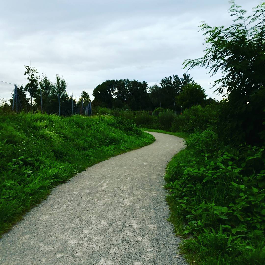 Schon wieder :) keep running! #strava #nervergiveup #runnerdrun #runlongiwill