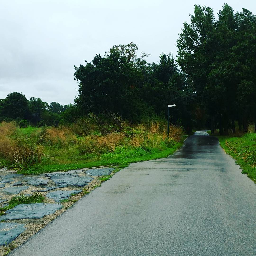 I took the left way ? #runnerdrun #runlongiwill #running Explore other ways!