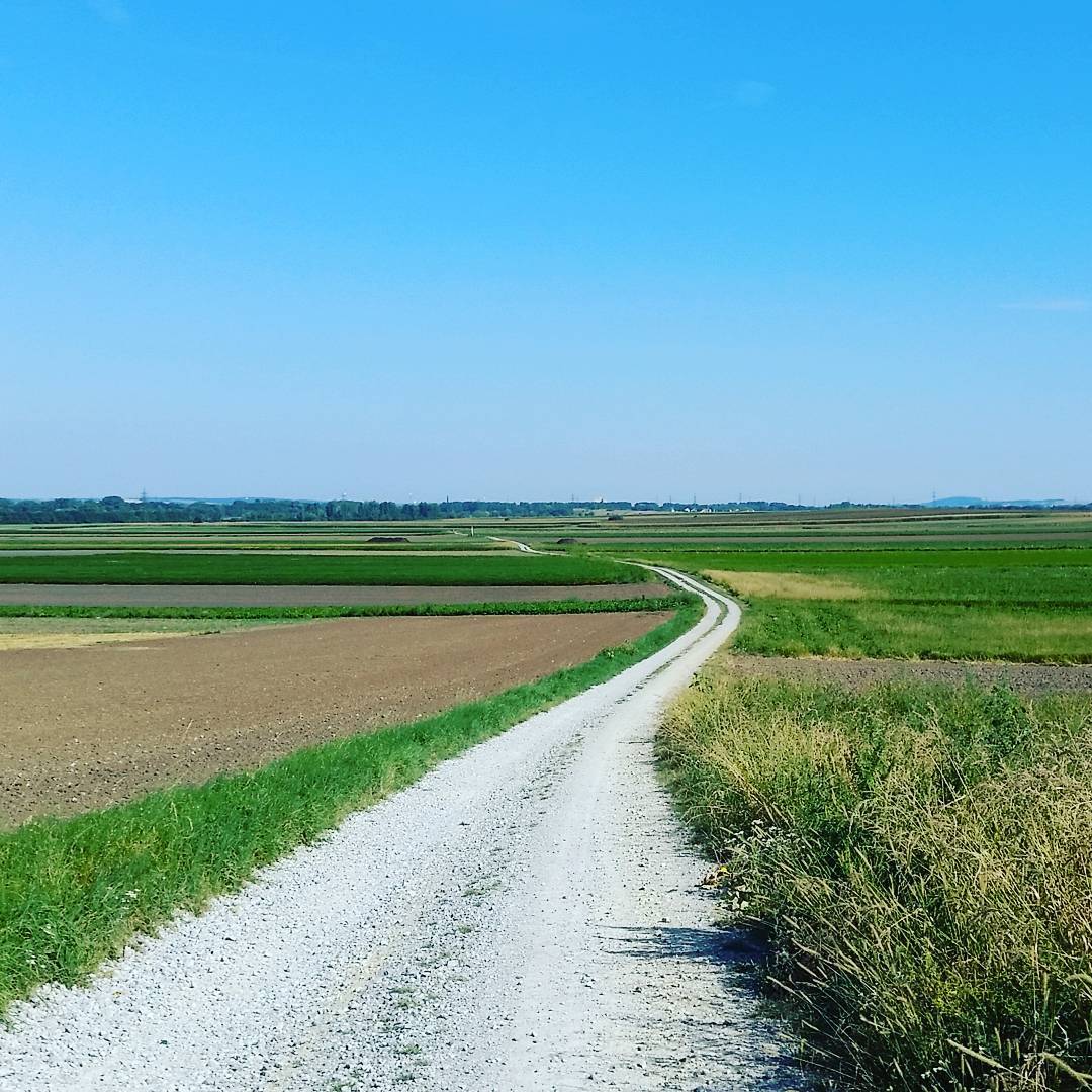 Sunday Run #running #runnerdrun #motivation #runlongiwill #salomon #sunny #staystrong #staymotivated