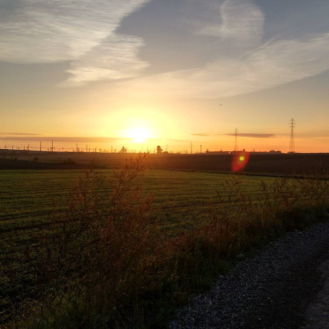 Guten Morgen! Daher auch am Fenstertag Arbeit ansteht musste ich raus und ein wenig Energie "erlaufen" :) #strava #zombiesrun #runnerdrun #running #Un