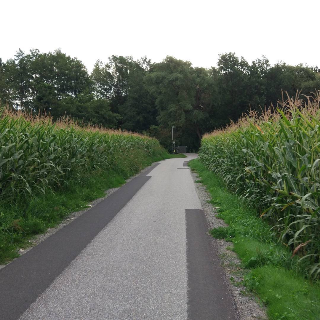 2 Tage Familien Urlaub und trotzdem die Laufschuhe dari gehabt #running #runnerdrun #strava #instarunning #instarun #vibramfivefingers