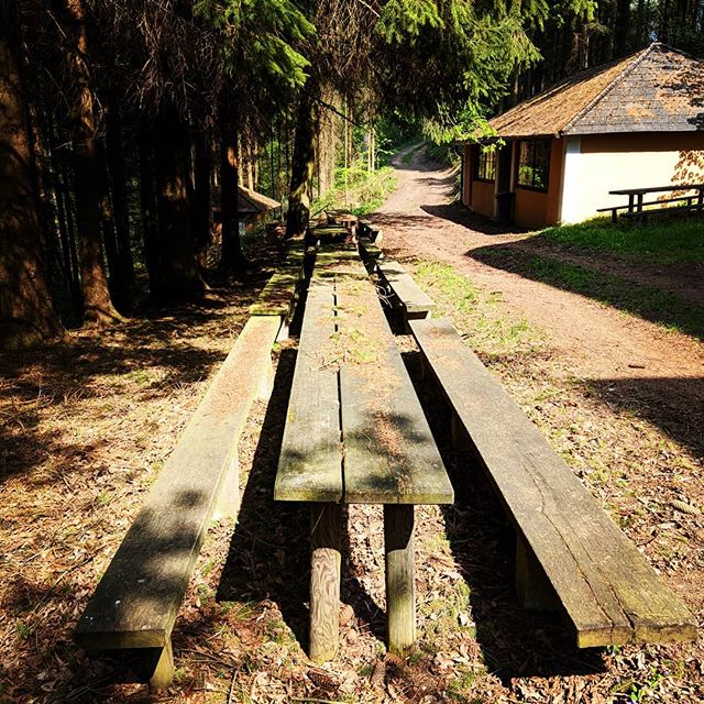 Hinter den #7Bergen bei den #7zwergen #siebenzwerge #wald #waldviertel #waldbuffet #niederösterreich #austria #Österreich #austrianinstagram #hashta