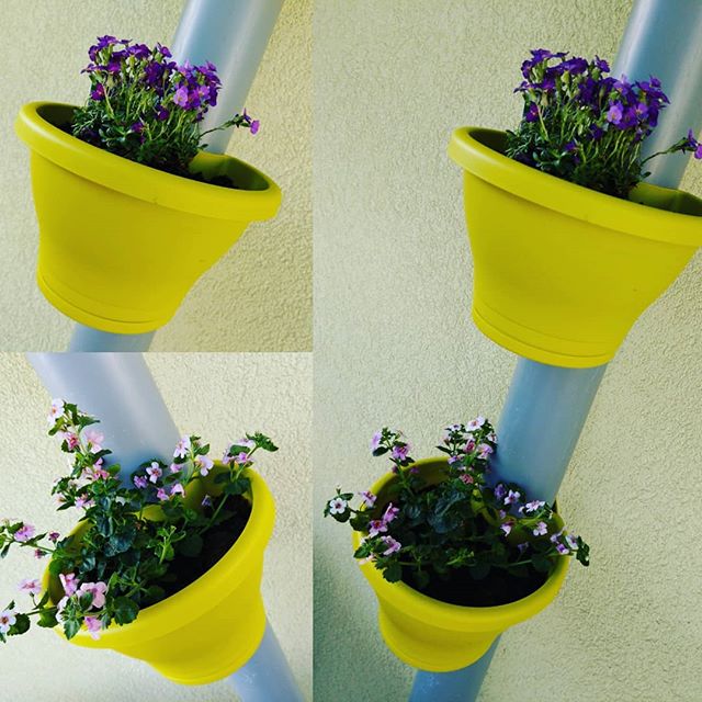 Pimp up my #balcony #Balkon #balkongarten #balconydecor #summer