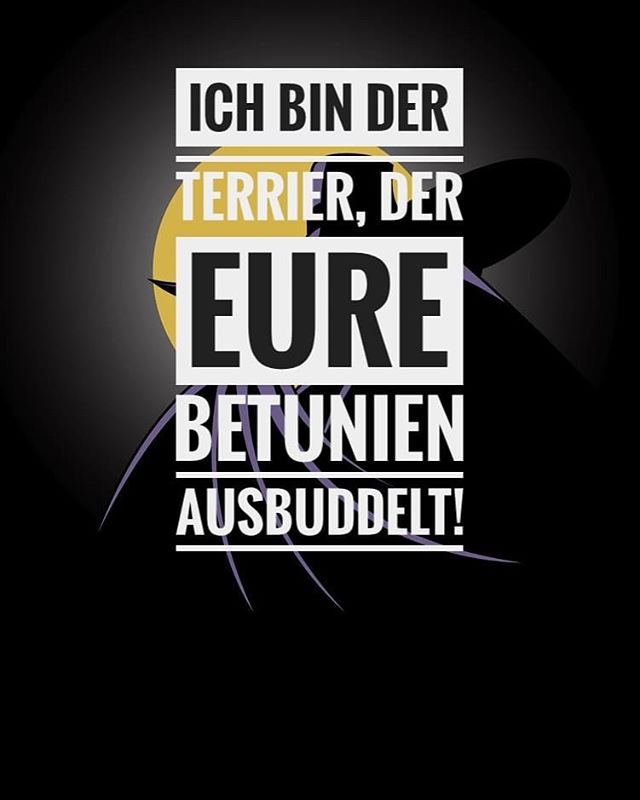 #darkwingduck #disney #spruch #quote #sprüche