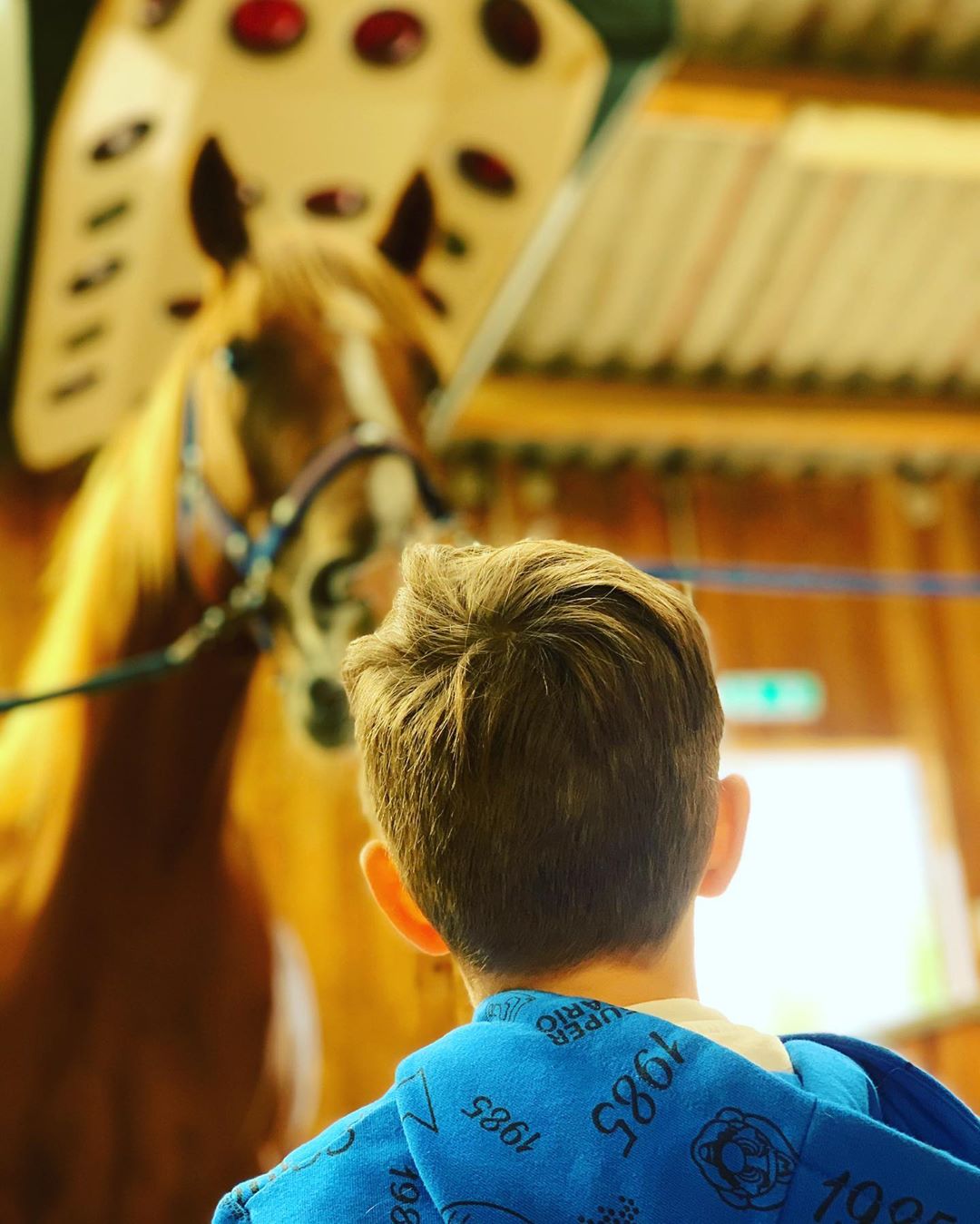 Macht nicht so ein langes Gesicht 😅🐎