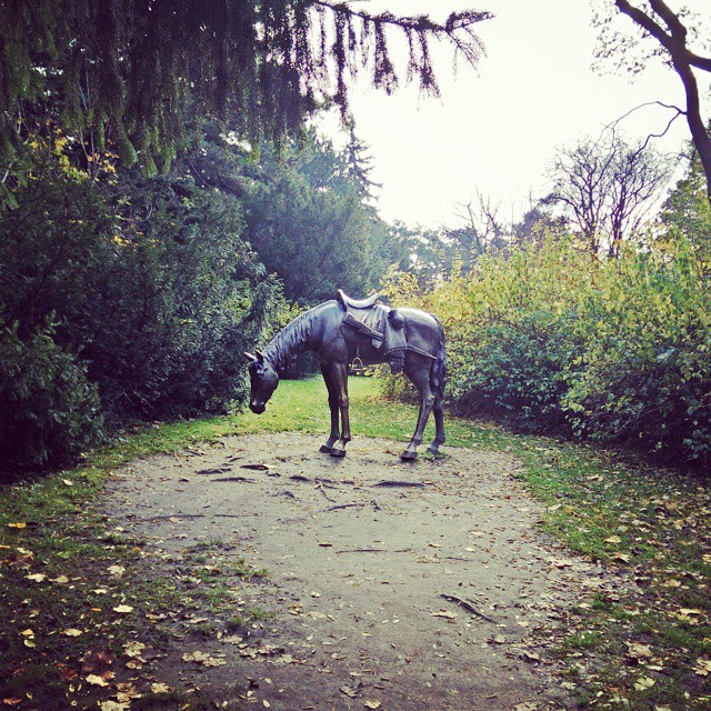 #Wien Türkenschanzpark
