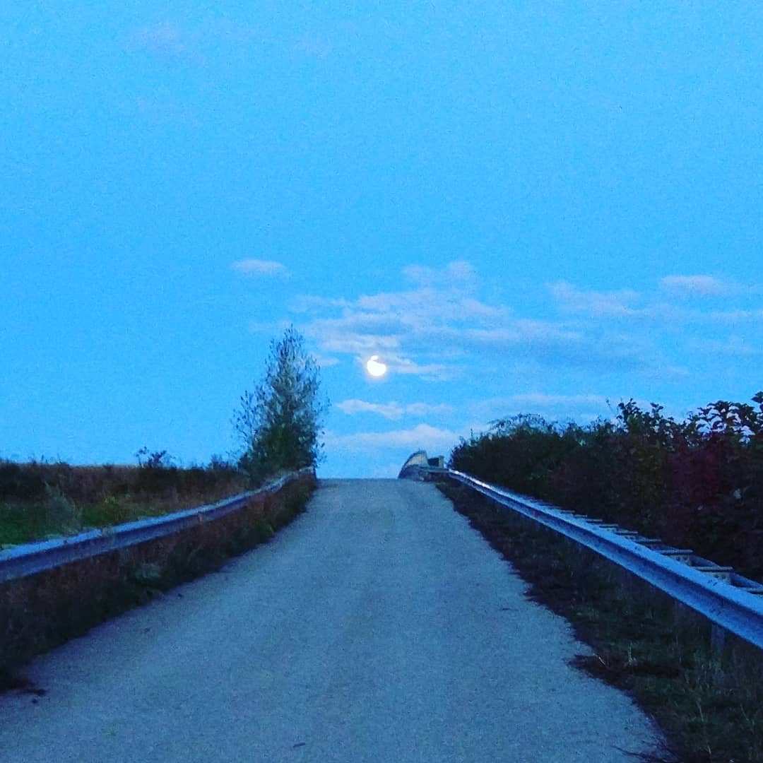 Did a short Run in the Morning.. Shorts are too short for this tempratures #vibramfivefingers #strava #asics #tomtom #UnderAmour #running #run #runner
