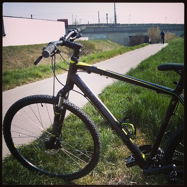 My new passion..