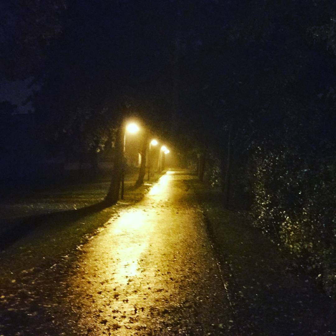 Guten Morgen! #keeprunning #runnerdrun #strava #zombiesrun #regen