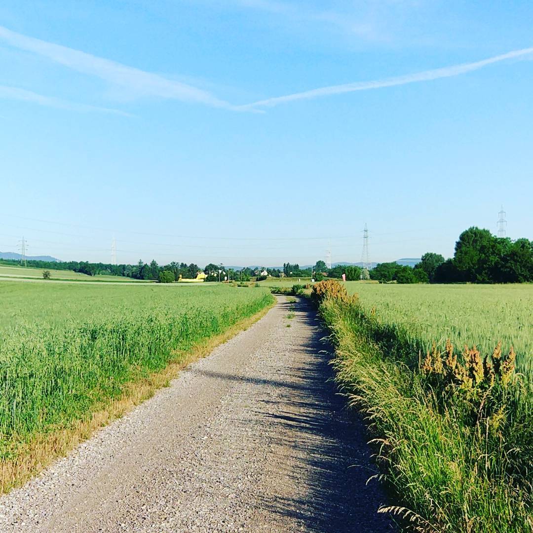 Good Morning! #running #runnerdrun #strava #instarunning #instarun #UnderAmour #run