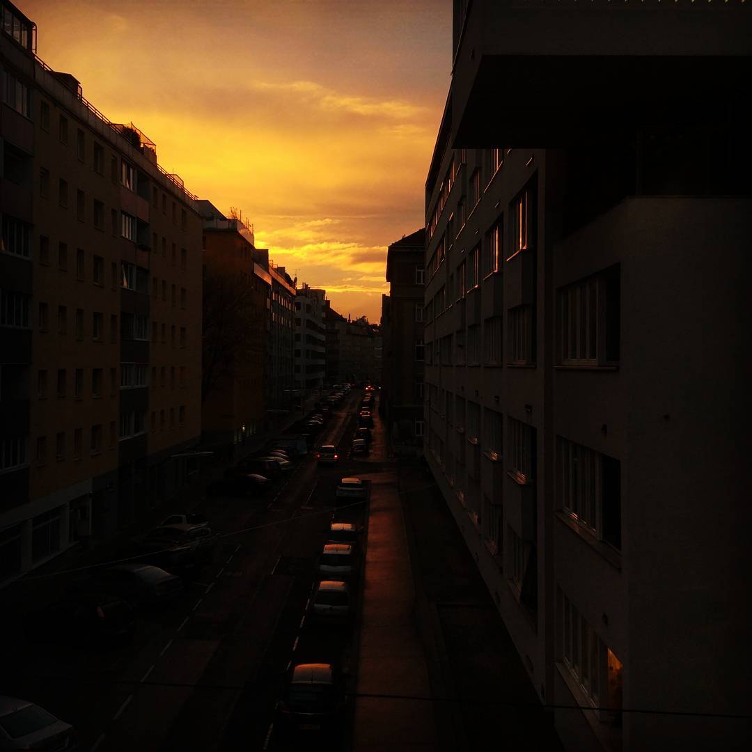 #vienna #sunset