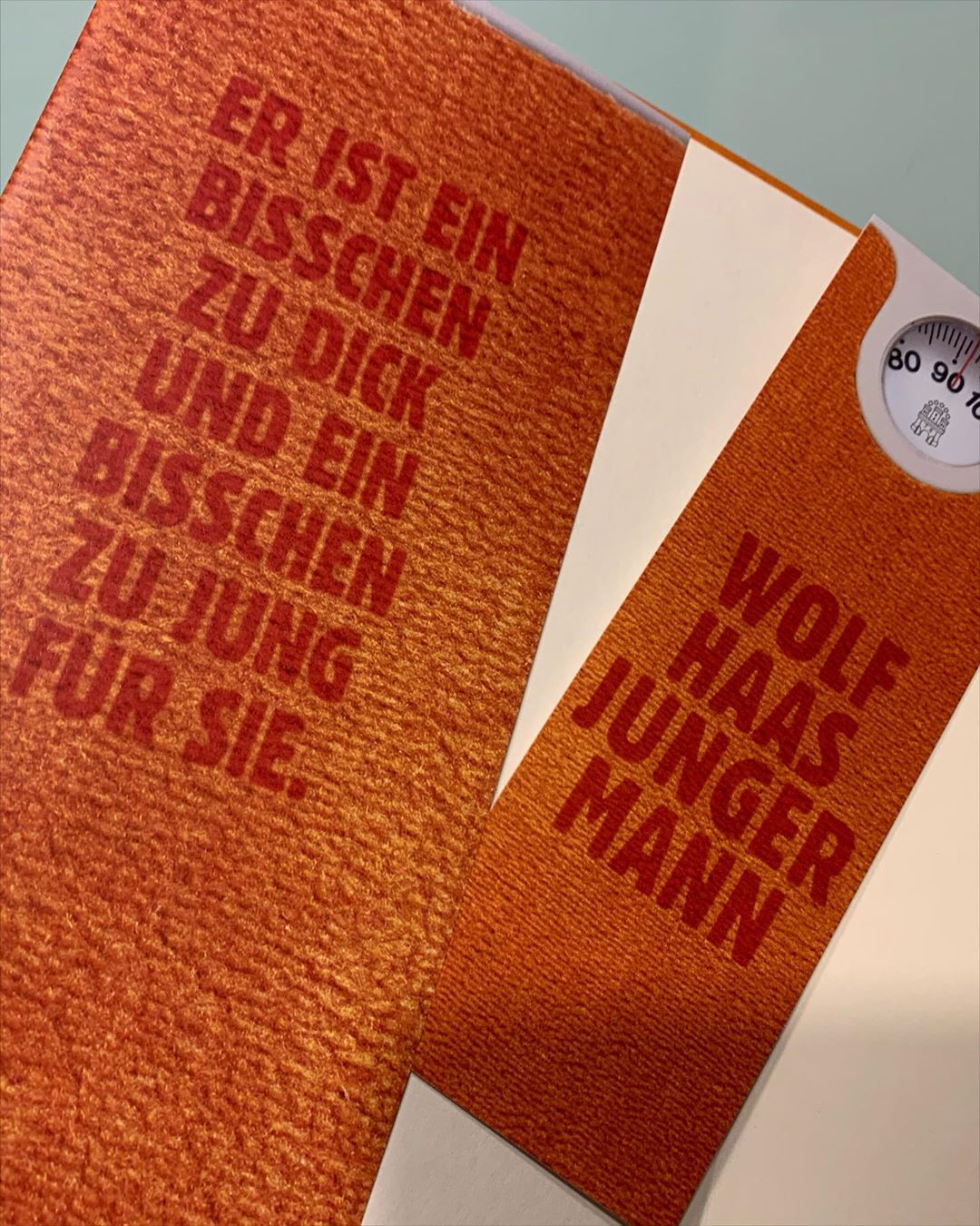 Ich glaube meine Frau will mir mit diesem Buch etwas sagen 🤔 #wolfhaas #lesestoff